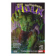 the immortal hulk photo