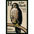 h is for hawk photo