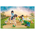 playmobil 70996 ippikoi agones extra photo 1