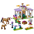 lego friends 41746 horse training extra photo 1