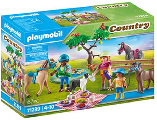 Crazy Sundays | PLAYMOBIL 71038 ΨΑΡΑΣ ΚΑΙ ΟΧΗΜΑ PICK-UP