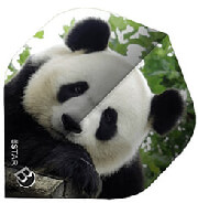 ftera bulls dart 5 star flights a std panda photo