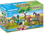 playmobil 71239 pik nik stin exoxi photo