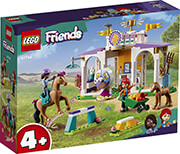 lego friends 41746 horse training photo