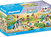 playmobil 71495 agones ippasias photo