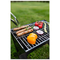 psistaria karboynoybbq blaupunkt grill gc101 extra photo 2