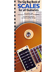 the gig bag book of scales for all guitarists photo