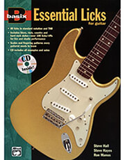 basix essential licks for guitar photo