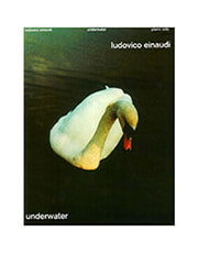 einaudi ludovico underwater photo