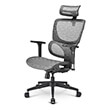 OFFICE CHAIR SHARKOON  OFFICEPAL C30M