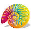 foyskoto intex rainbow seashell float 127 x 157cm extra photo 1