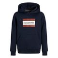 hoodie jack jones jorfrederiksberg 12263243 skoyro mple extra photo 5