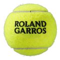 mpalakia wilson roland garros all court 4 ball kitrina extra photo 1