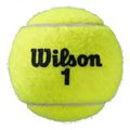 mpalakia wilson roland garros all court 4 ball kitrina extra photo 2