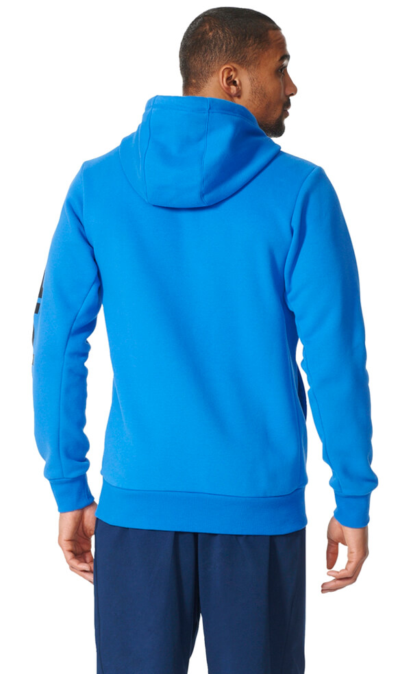 essentials linear hoodie