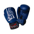 gantia proponisis boxing gloves olympus training iii pu mple photo
