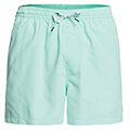 boxer quiksilver everyday volley 15 eqyjv03531 menta l extra photo 3