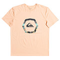 t shirt quiksilver uprise eqyzt06663 roz s extra photo 2