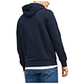 hoodie jack jones jorjerrys 12219670 skoyro mple m extra photo 1