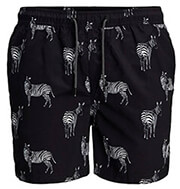 boxer jack jones jjibali safari 12184787 mayro s photo