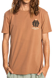 t shirt quiksilver promote the stoke eqyzt06702 kafe l photo