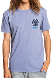 t shirt quiksilver promote the stoke eqyzt06702 mob s photo