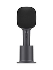 Crazy Sundays | XIAOMI KARAOKE MICROPHONE XMKGMKF01YM